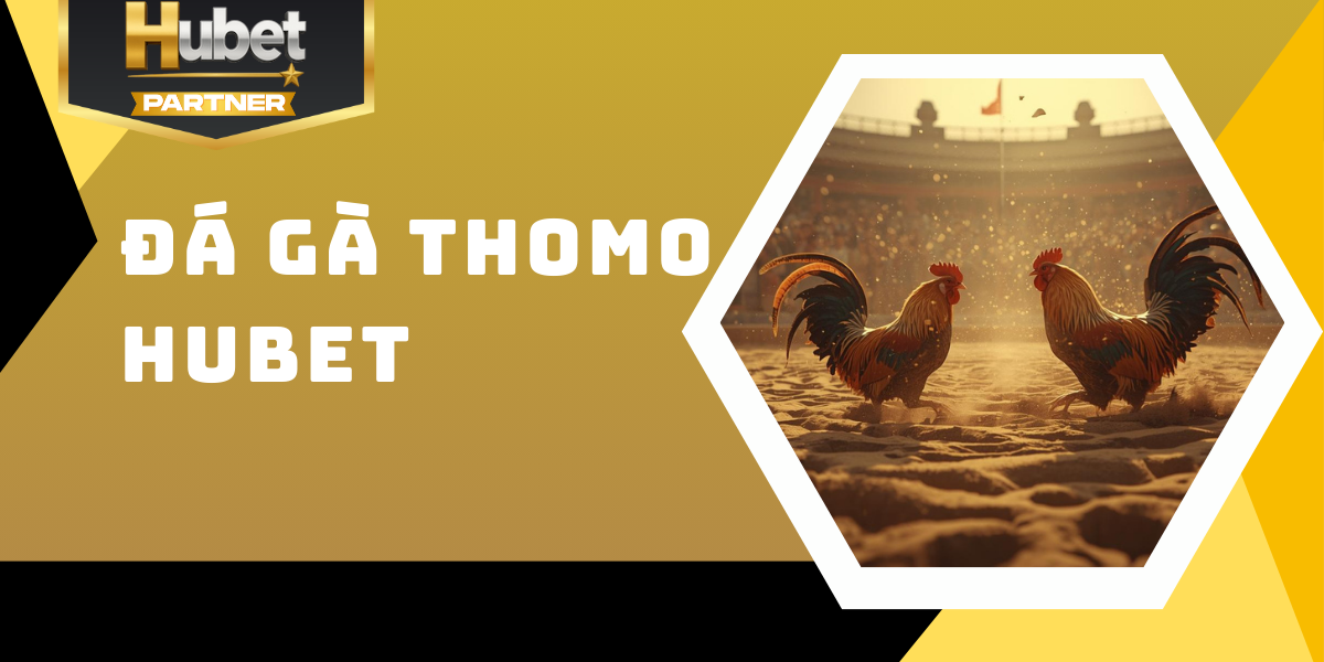 Đá gà Thomo Hubet - Kịch tính đỉnh cao, chiến kê hàng đầu